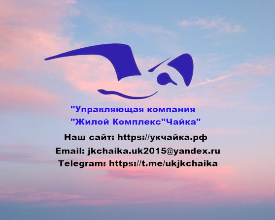 WhatsApp_Image_2022-04-03_at_09.58.34-removebg-preview-removebg-preview (6).png